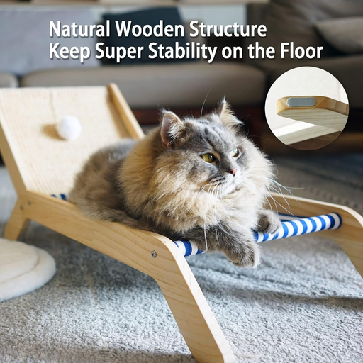 【5折】猫猫的沙滩椅+抓抓树