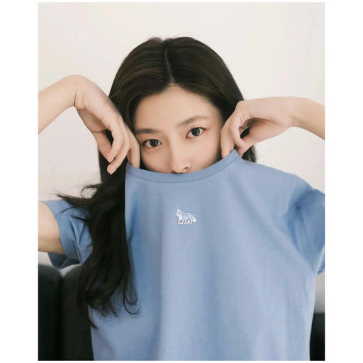 【蓝色小狐狸】仅$47