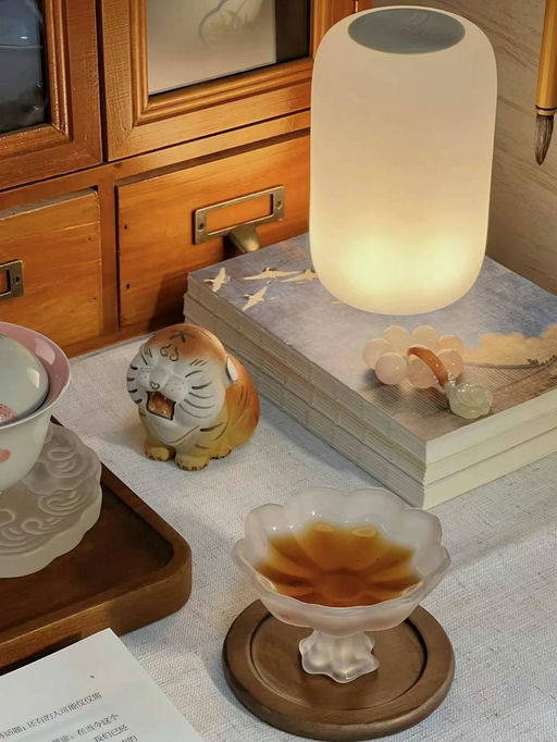 【喵喵宝藏款】【比黑五价再降一丢丢】