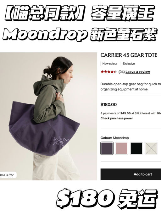 【这个新色好好看】鸟版Neverfull