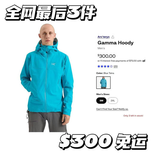 【最后3件啦】始祖鸟脂鲤蓝，gamma hoody