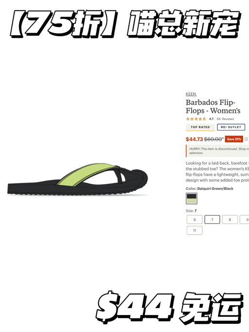 【喵总新宠】日式文艺