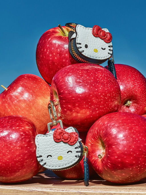 【Kitty控狂喜！】50周年联名