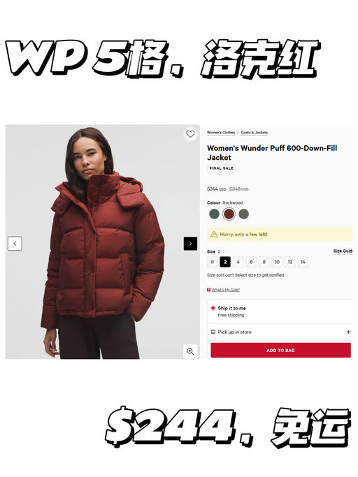 🍋【WP 下折】【2码捡漏价】