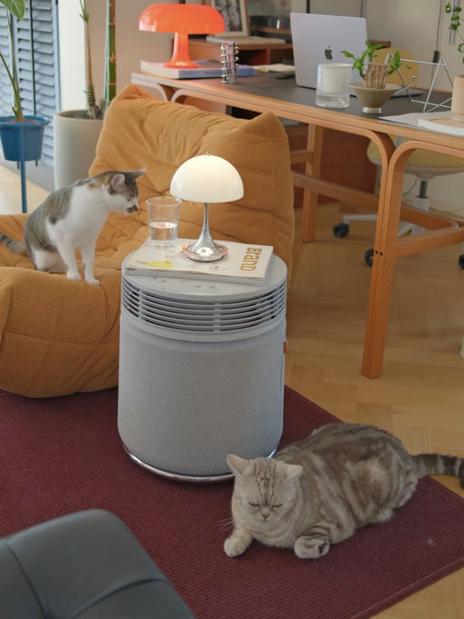 🍃【覆盖3385尺】【是净化器也是茶几】