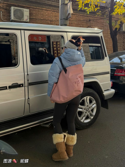 【热门色补货】鸟版Neverfull