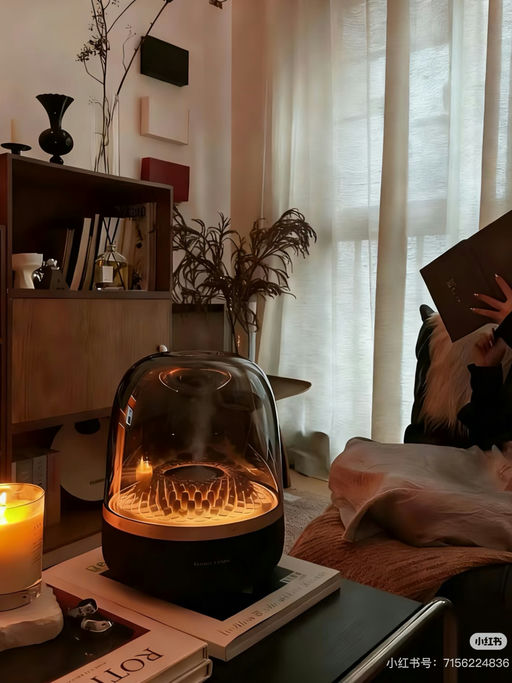 【终于5折了】哈曼卡顿当家款