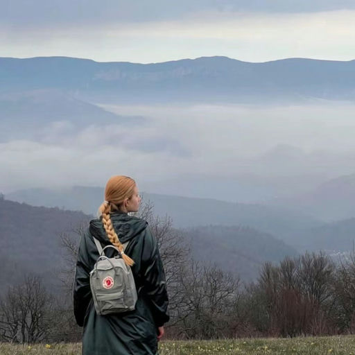 【难得7折】实用北极狐