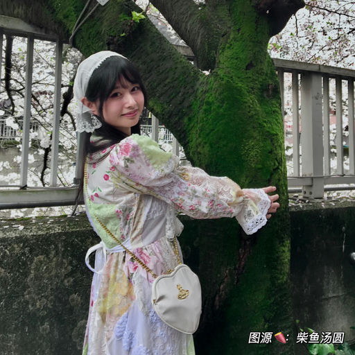 【32折】我的少女心