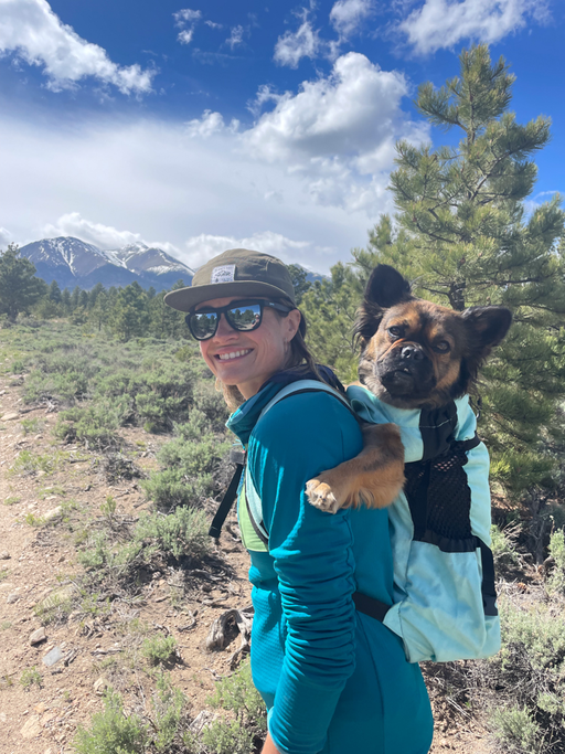 【完美中间层】【直接6折】