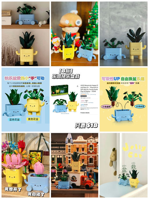 🪴【今年最火】【只要 $18】