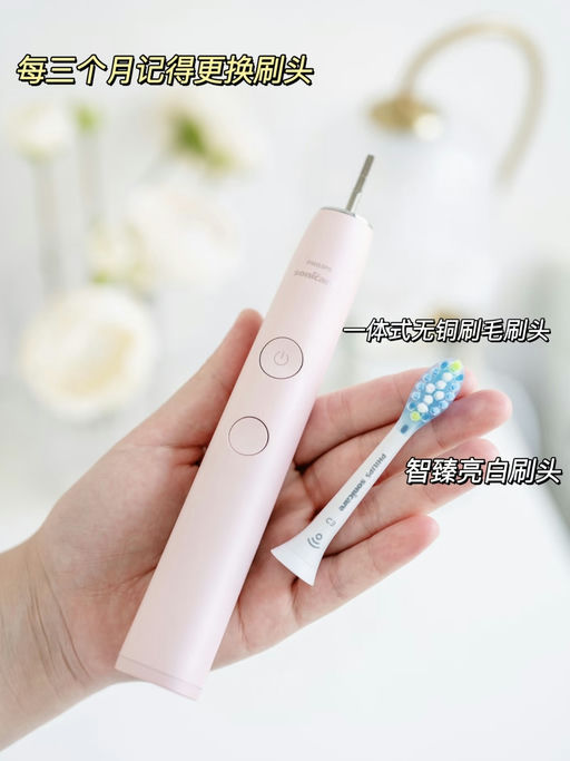 【$199，免运】【女神牙刷两支装】