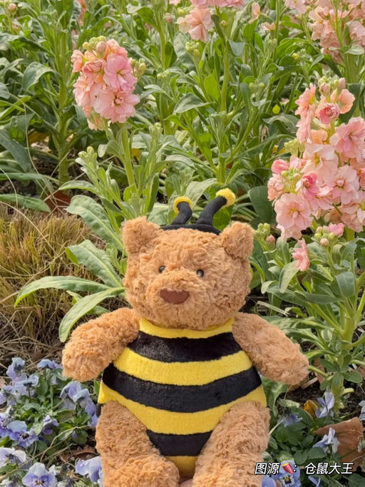 【当季顶流】随时断