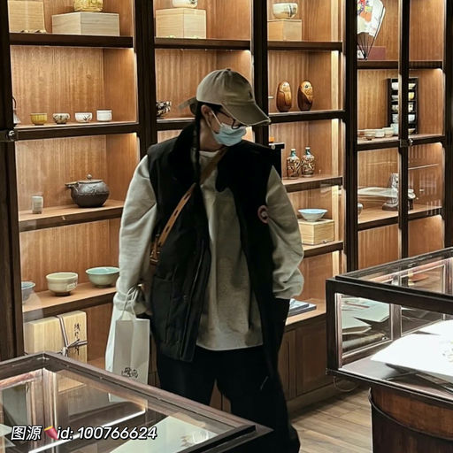 【正当季！】大鹅Freestyle马甲，史低回归