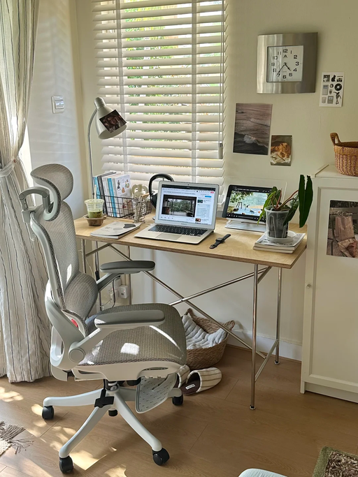 【$239，免运】【懂腰的人体工学椅】