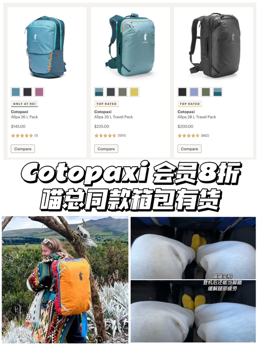 【这是个预告】【年度最盛大】