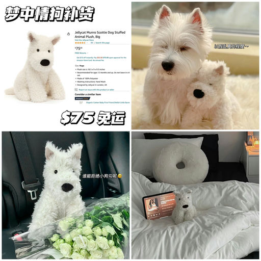 【梦中情狗】断货王大号补货