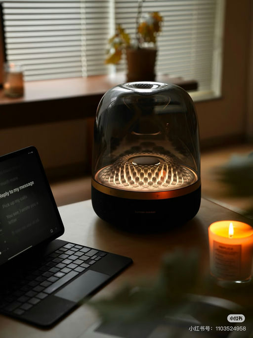 【终于5折了】哈曼卡顿当家款