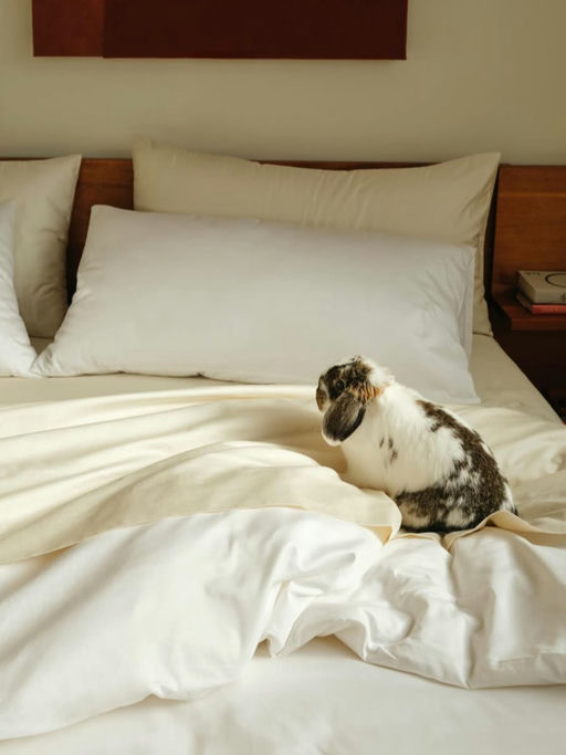 【Last Call】25折，对标Parachute