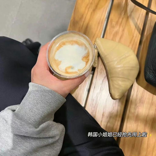 【风靡南韩】【全员可买】Lemaire 挂绳小牛角，奶油曲奇移出私促啦～