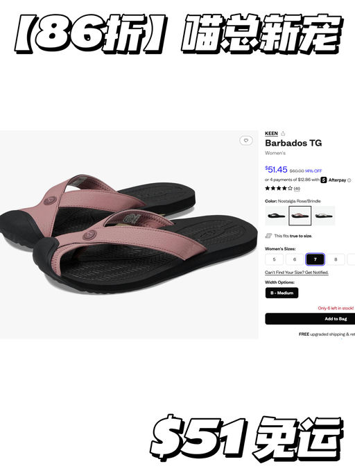 【喵总新宠】日式文艺