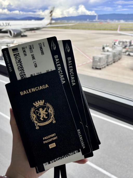 【这货首折】【巴黎世家护照夹】