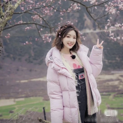 【白标大鹅65折】毛晓彤同款