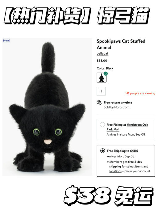 【热门齐补货】写实派惊弓黑猫