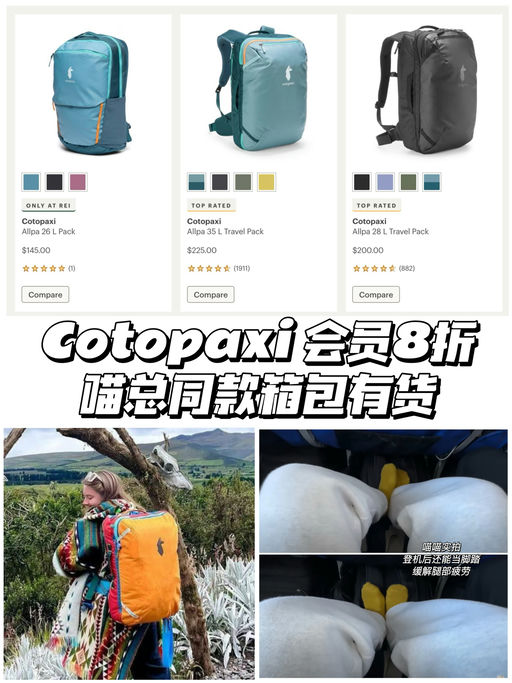 【年度最盛大】海量喵喵推荐参加