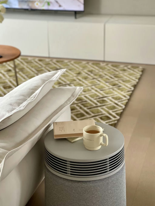 🍃【覆盖3385尺】【是净化器也是茶几】