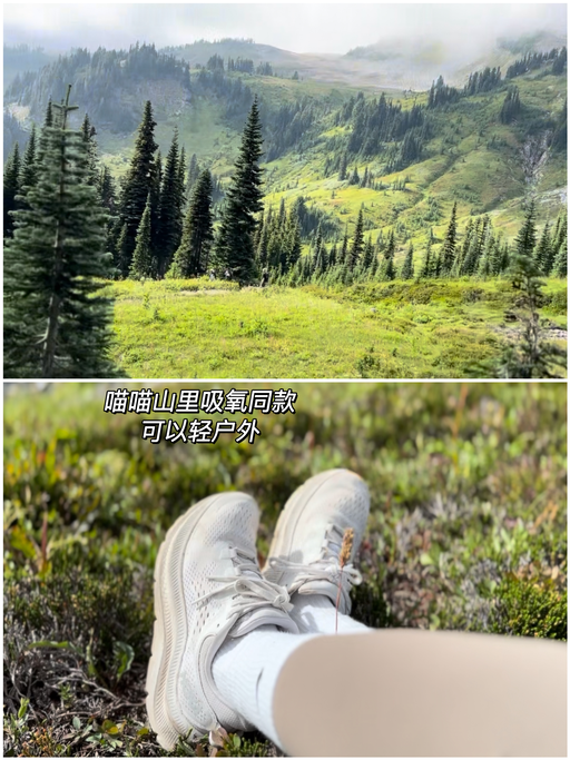 【喵喵实拍】【8折】