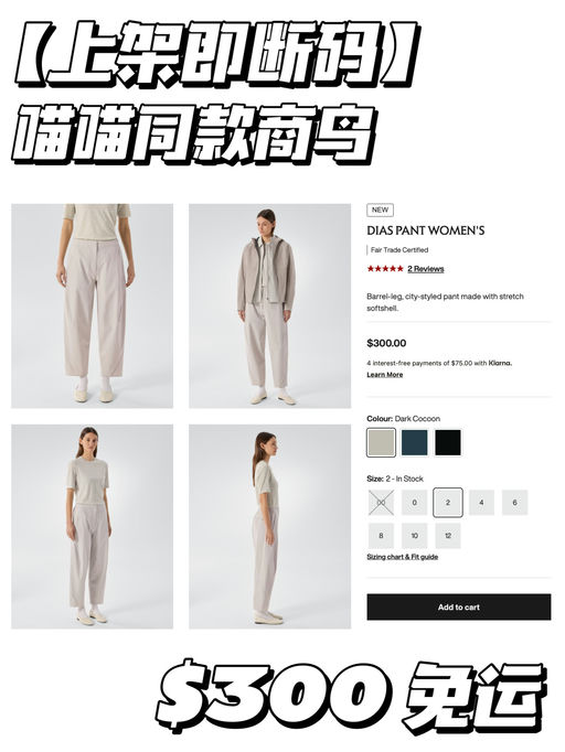 【上架即断码】喵总同款商鸟