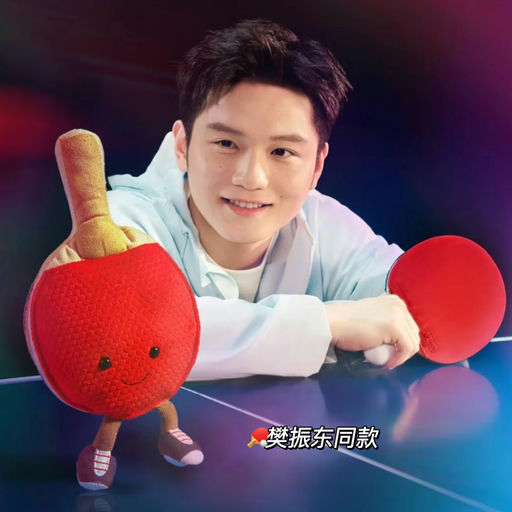 【喜迎奥运】樊振东同款