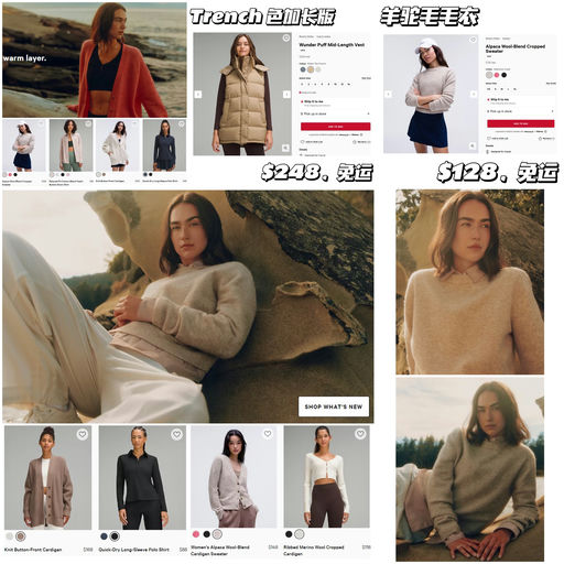 【秋冬氛围感】Lulu 你别太 Lemaire~