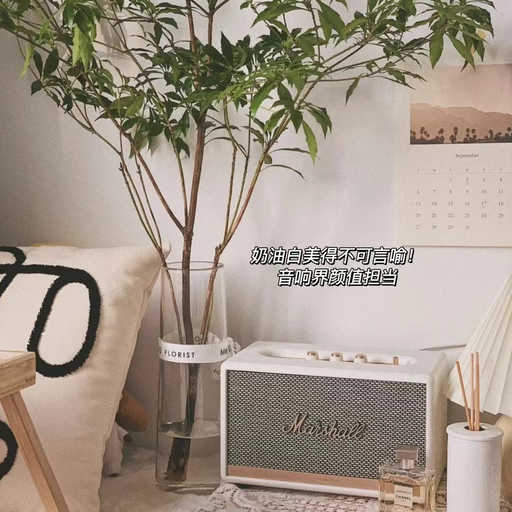 【先抢白色】Marshall 一律6折