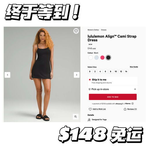 【终于来了！】小📕爆火