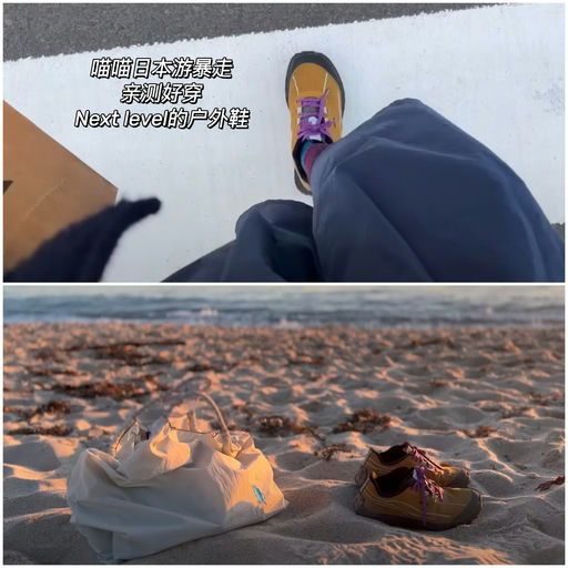 【全年最低价】喵喵最宝藏