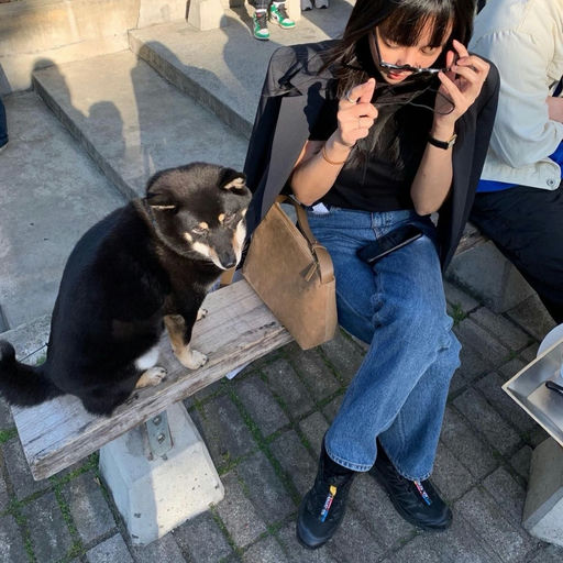 【入门经典】难得8折