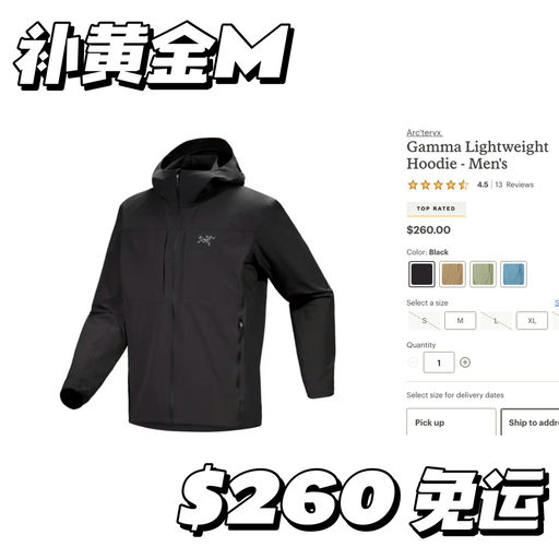 【快快！】始祖鸟Gamma LT，黑色补M