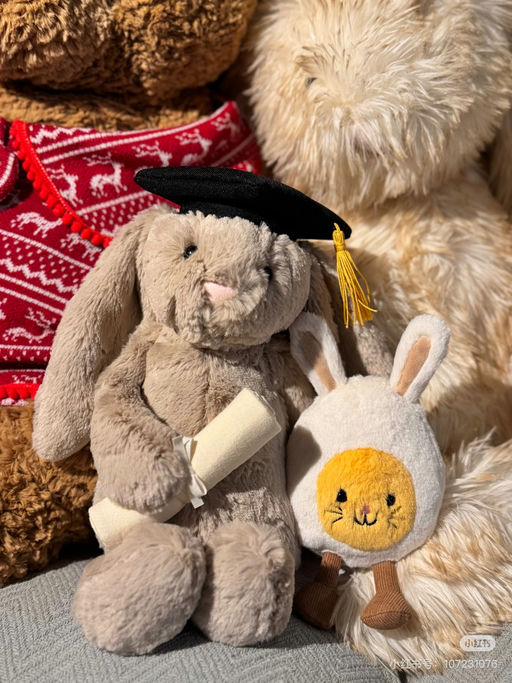 【可爱邦尼】经典款也上新