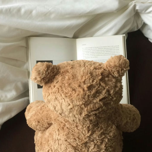 【最后一只】【Bug 价62折！】