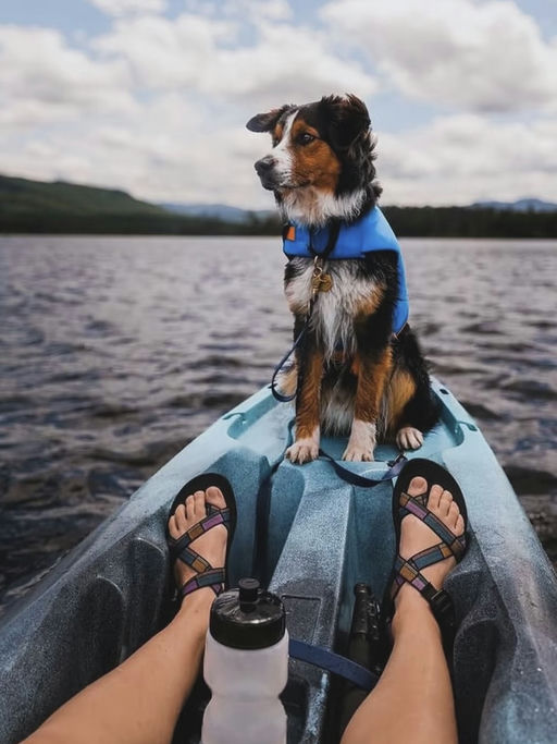 【完全贴合脚型】【3折+满$100再减$30】