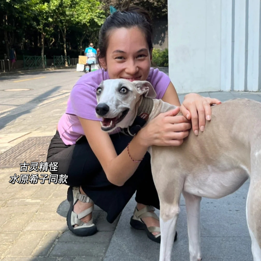 【浅补3双】喵喵同款，最难买银色