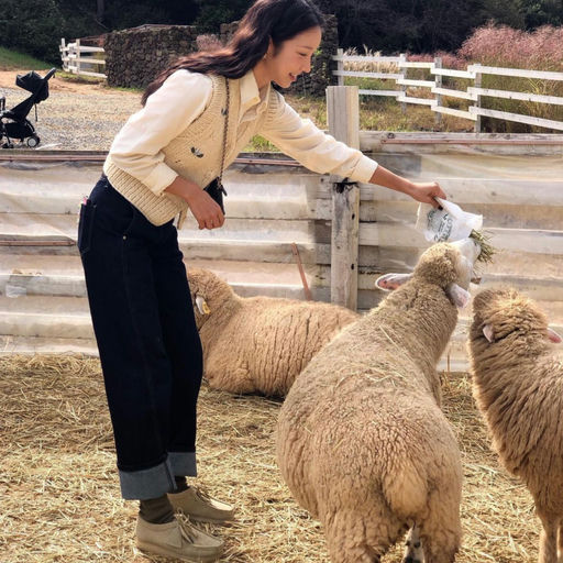 【最难买】6x折，零星黄金码