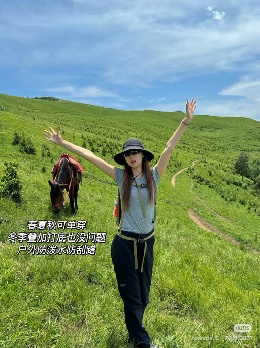 【新加入】史低回归