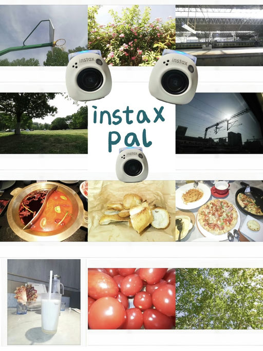 【史低39折！】【女明星拍照利器】