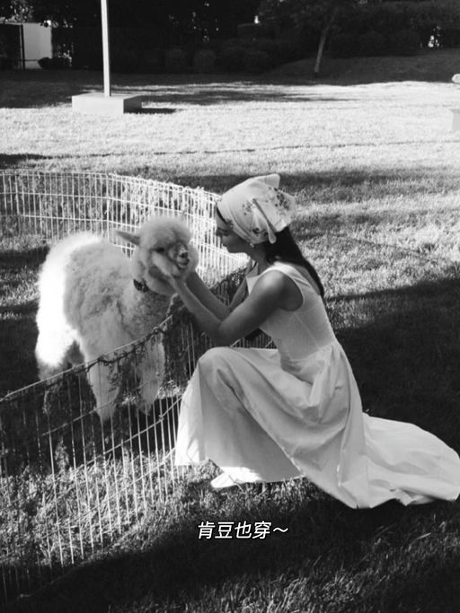 【8折补货】古典优雅美