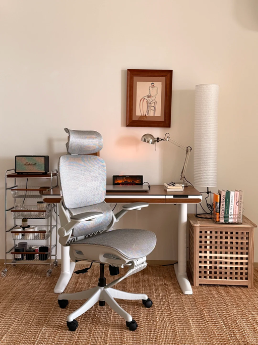 【$239，免运】【懂腰的人体工学椅】