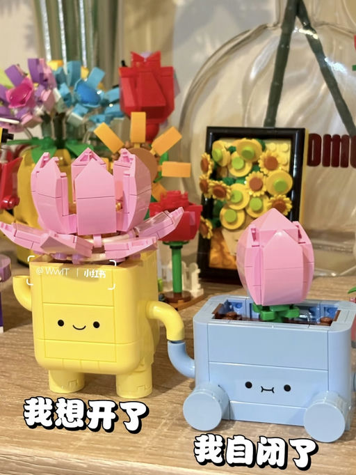 🪴【今年最火】【只要 $18】