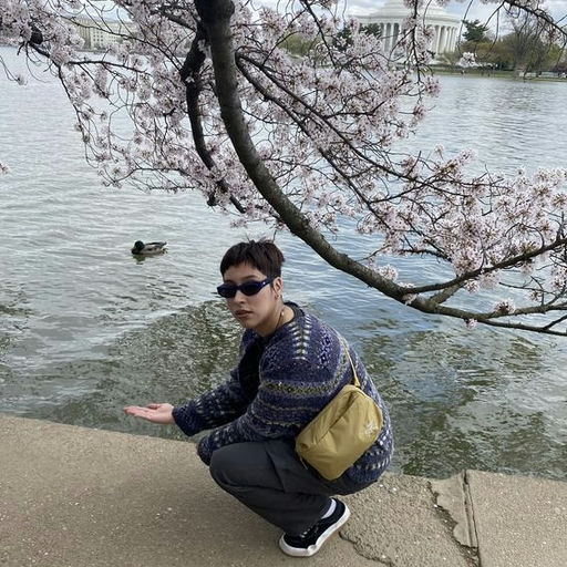 【最热门 Heliad】【首次8折】